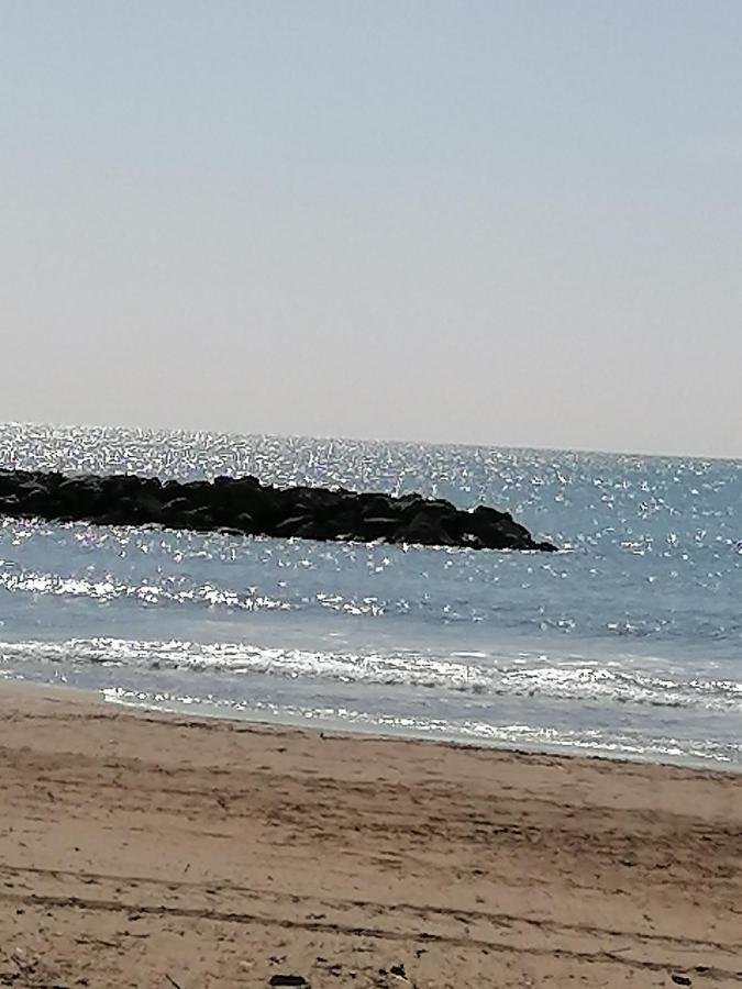 Studio Cabine Valras Plage 300M De La Mer Exterior photo